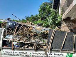 Best Recycling Services for Junk  in Highland Park, NJ