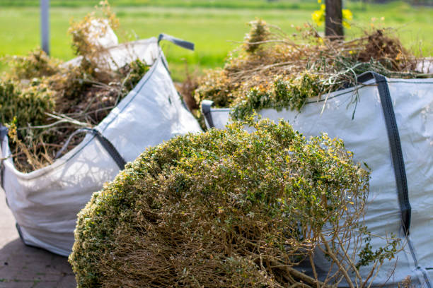 Best Yard Waste Removal  in Highland Park, NJ